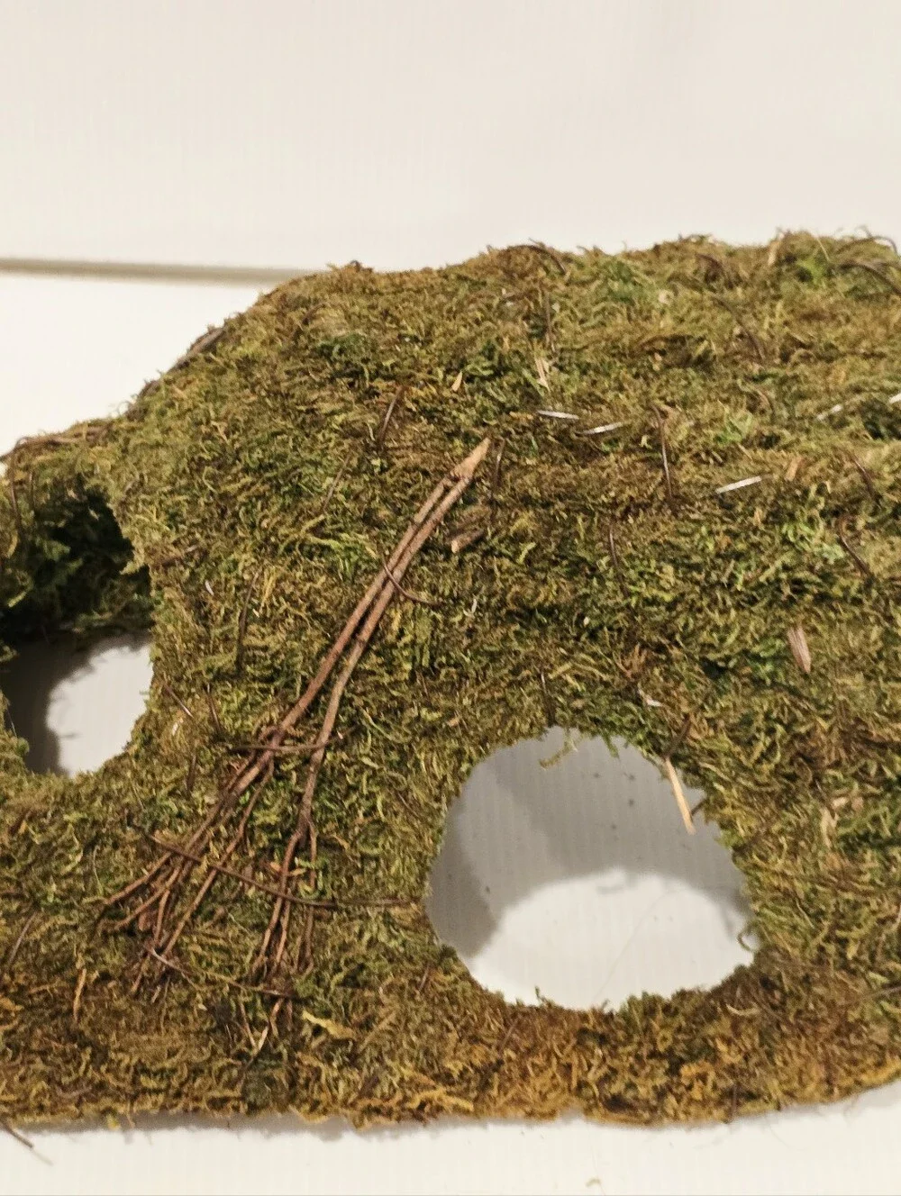 Galapagos Sapa Corner Hide Terrarium Hideaway